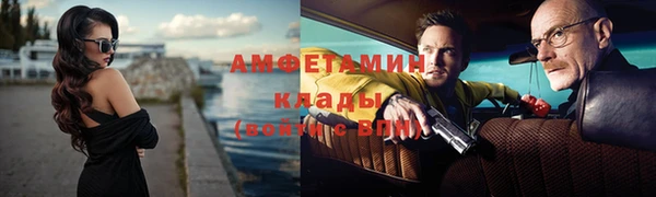 гидропоника Пересвет