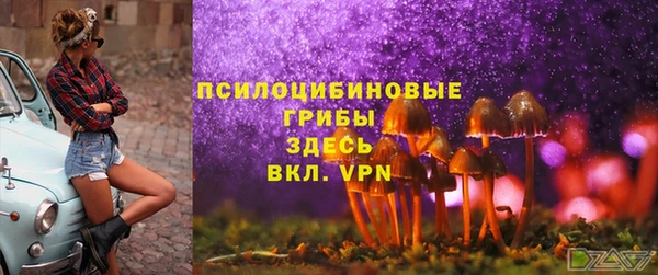 прущая мука Осинники