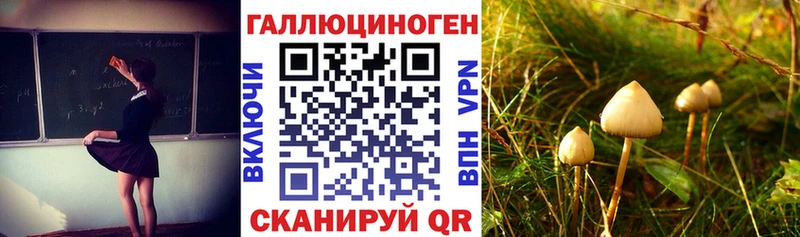 Галлюциногенные грибы Psilocybe Петровск