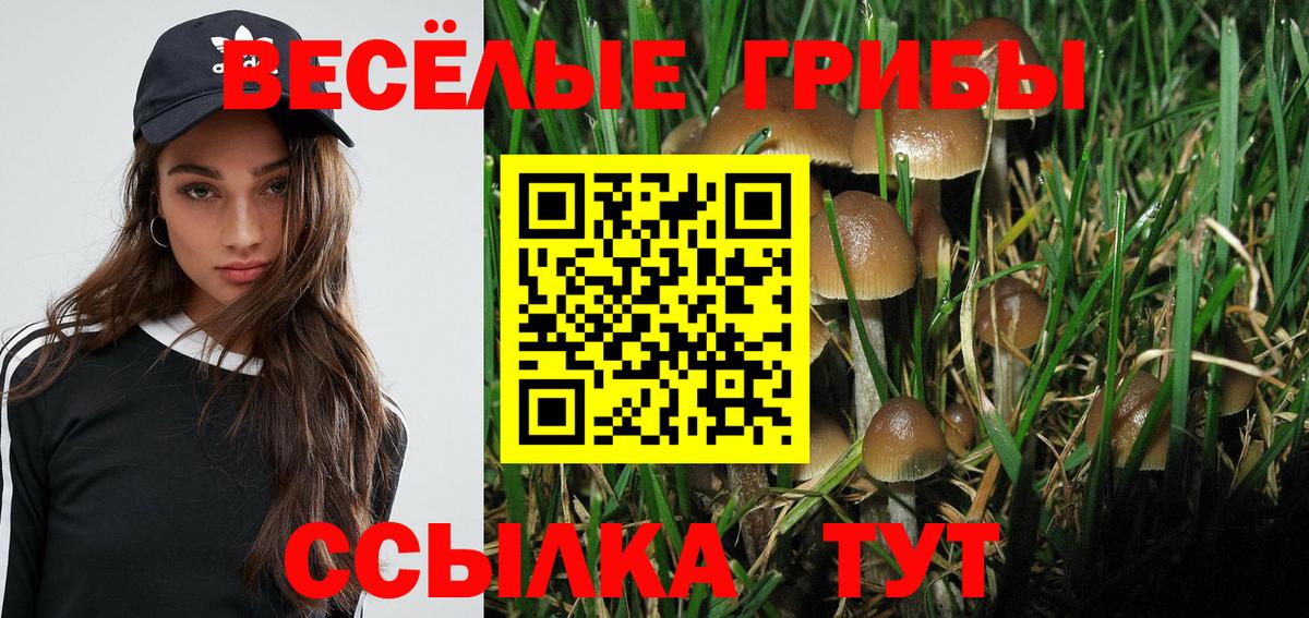 Псилоцибиновые грибы ЛСД  Галлюциногенные грибы мицелий  купить наркоту  Вход с VPN  Петровск 