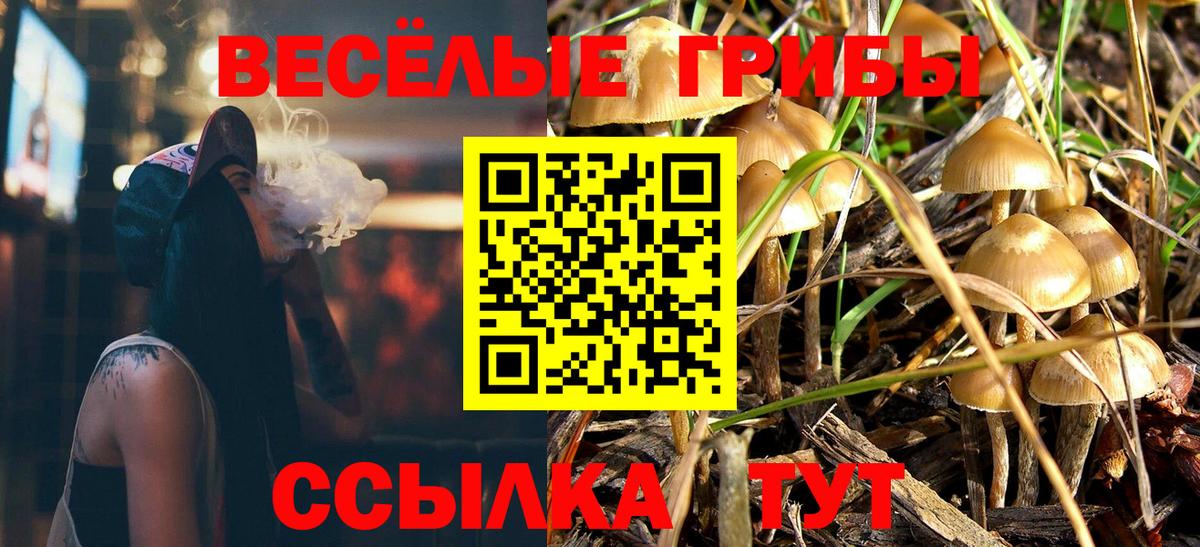 Галлюциногенные грибы мицелий  где купить наркотик  Петровск  Галлюциногенные грибы прущие грибы 