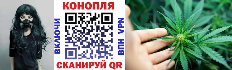 Бошки Шишки THC 21%  Петровск 