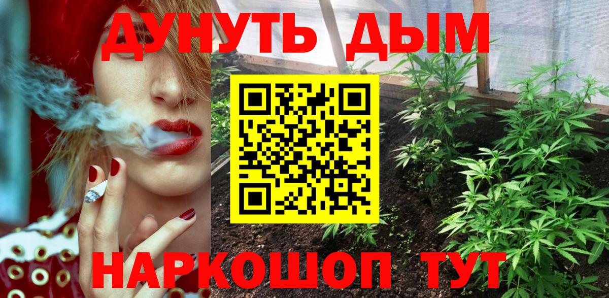 Бошки марихуана ГИДРОПОН  Петровск  МАРИХУАНА план  МАРИХУАНА марихуана 